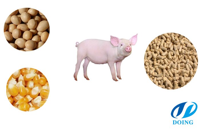 How to mix your own pig feed ?