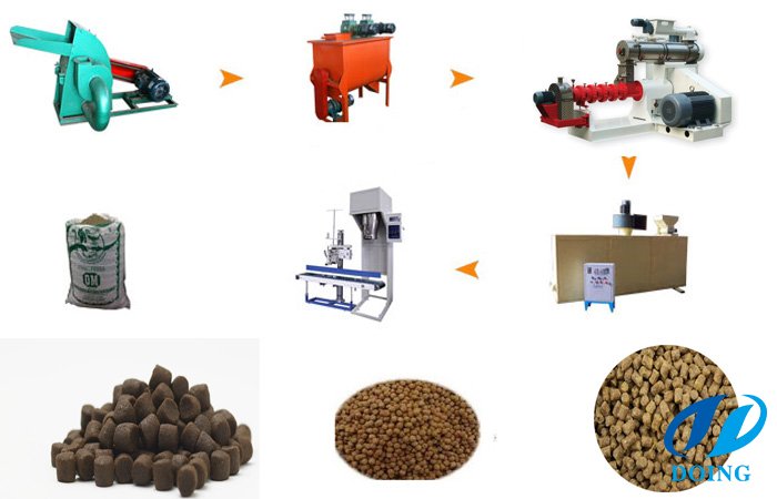 fish feed production